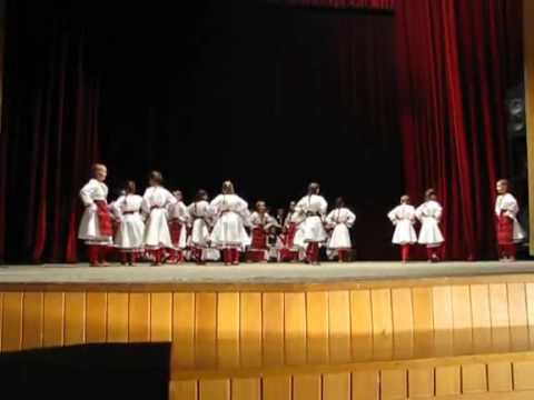 ANIP Taurunum -mladji Pirot