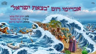 אברימי רוט | בצאת ישראל | Avremi Roth | Betzet Israel