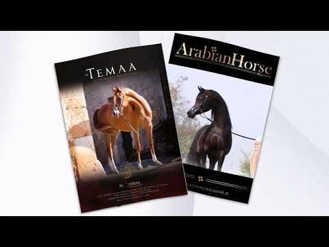 Arabian Horse Magazine | N1_2019 - Dubai Issue