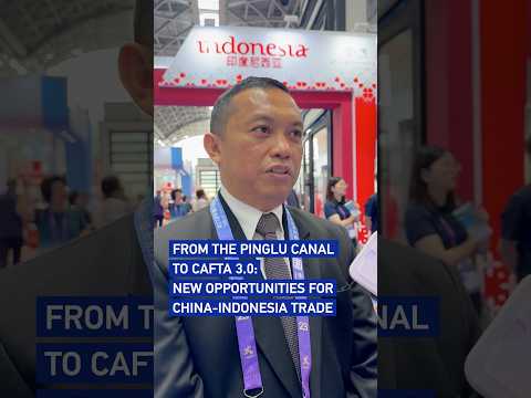 From Pinglu Canal to CAFTA 3.0: New opportunities for China-Indonesia trade