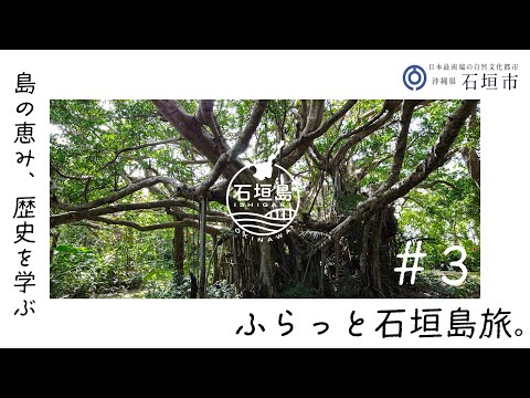 ふらっと石垣島旅＜島の恵み、歴史を学ぶアカバナー(ハイビスカス)編＞