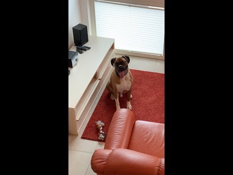 Ferienwohnung 26 in der ☀ Strandvilla Baabe ☀ auf der Insel Rügen