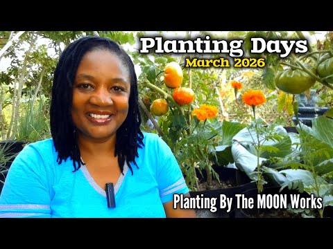 Planting Days For March 2026 Using The MOON Phases/Your Gardens Will EXPLODE WITH GROWTH 