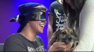 5 Seconds Of Summer play 5 Seconds of Snogging