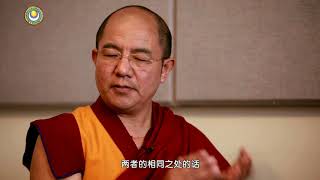 06慧晤—科学时代的佛教-索达吉堪布对话晧利·盖利教授 >> 科学时代的佛教 01 上师回答05 佛教VS科学：相同 异同