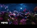 Kali Uchis Adicto Visualizer
