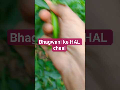 har sans mein sumiran Tera#likeandsubscribe #garden #shortsvideo #farming ,👍👍🌨️🌨️🙏🙏