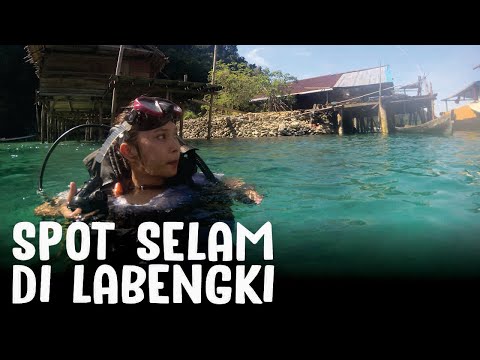 spot diving at labengki island