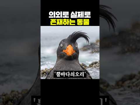 의외로 실제로 존재하는 동물