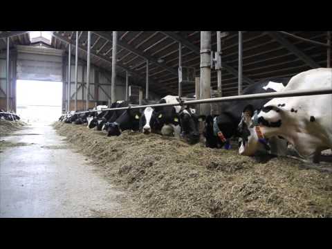 MEgional 2015 09 10 - Unsere Nachrichten für das Mittlere Erzgebirge