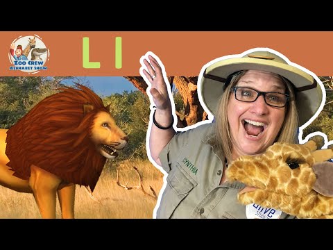Zoo Crew Alphabet Show | Lions and Letter L