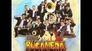 la conga roja banda bucanera.