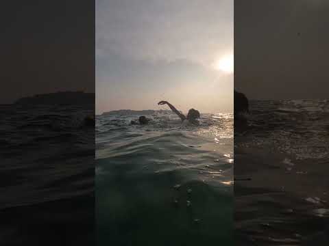 Morning Vibes #shorts