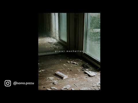 FREE/ Selug x Wallace Cleaver x Asinine TYPE BEAT - Projet Manhattan