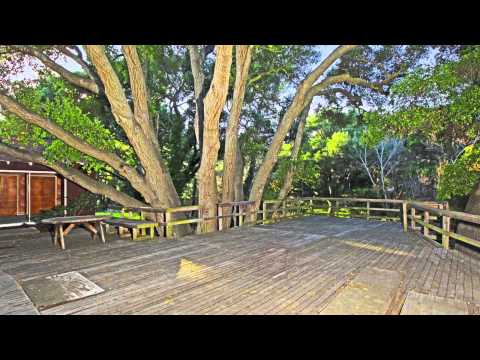 539 Live Oak Circle Drive - www.539liveoak.com