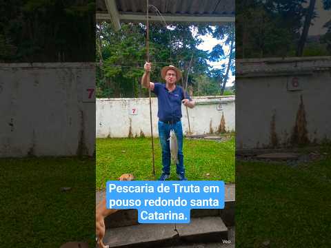 #shorts Pescaria de Trutas em pouso redondo santa Catarina. #shorts viral #pescaria #peixes