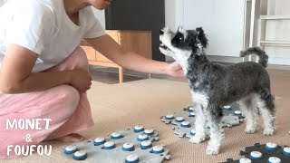 犬と暮らしてる人、ちょっと見てほしい。これ、どの子も思ってる気がする