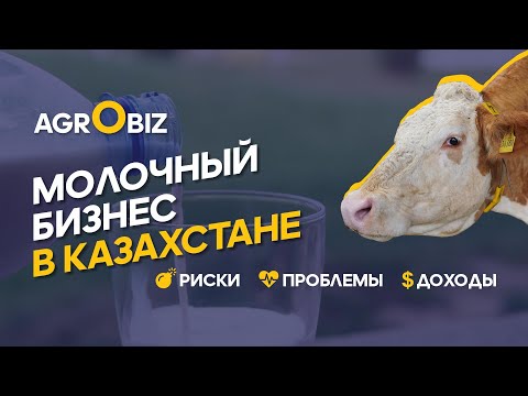 , title : 'Молочное животноводство в Казахстане: как зарабатывают на КРС? | АгроКараван Молоко 2021 | AgroBiz'