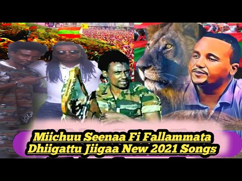 New Oromo Music 2021 Miichuu Seenaa Fi Fallammata Dhiigattu Jiigaa New 2021 Songs