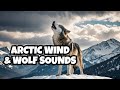 Arctic Wind Wolf Sounds Calm Nature Ambience