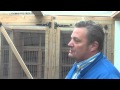 EXCEPTIONAL RACING PIGEONS Premier Stud UK