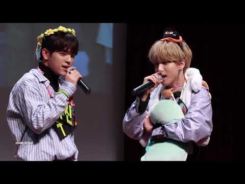 181101 Stray Kids Fansign - Jisung and Woojin Duet