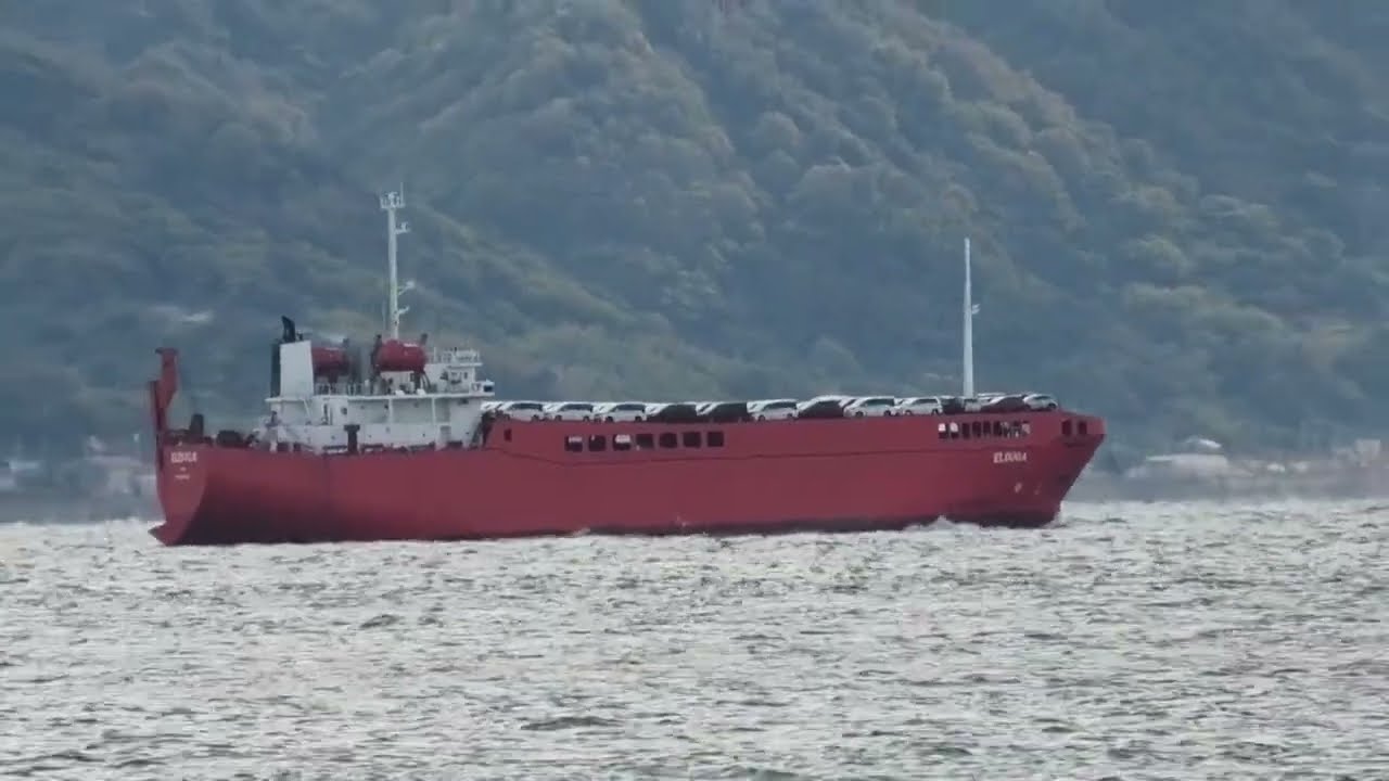 Ro Ro Cargo ELDUGA 11 2025b