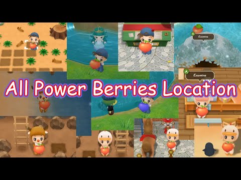 All Power Berries and Special Power Berry Location | Story of Seasons Friends of Mineral Town