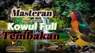 Download lagu MASTERAN SOGON MATERI KOWUL FULL TEMBAKAN TAJAM ‼️ #sogongacor #sogon #sogongacorngobra mp3 Download lagu MASTERAN SOGON MATERI KOWUL FULL TEMBAKAN TAJAM ‼️ #sogongacor #sogon #sogongacorngobra mp3