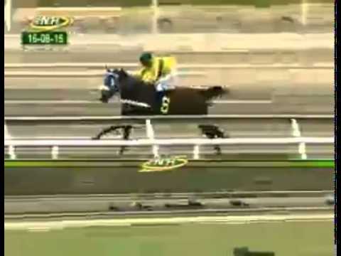 LA RINCONADA 10 CARRERA, DOMINGO 16 DE AGOSTO DEL 2015