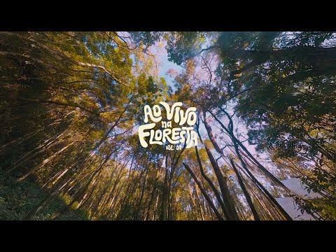 DABÊRA - AO VIVO NA FLORESTA vol. 1