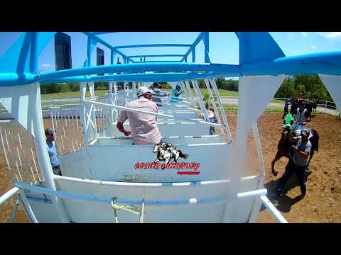 EL CARNICERO  VS EL CARNAL