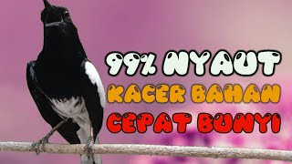 Download lagu 99 NYAUT PANCINGAN DASAR KACER NGEPLONG BUAT MEMAN... mp3