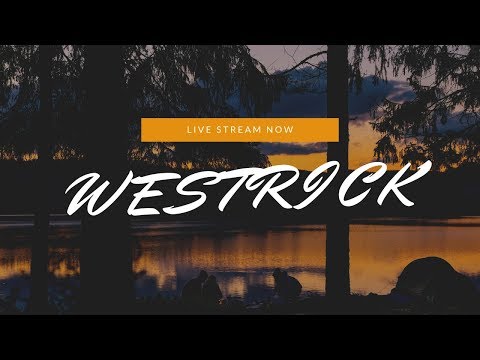 RANDOM SQUAD - APEX LEGENDS INDONESIA