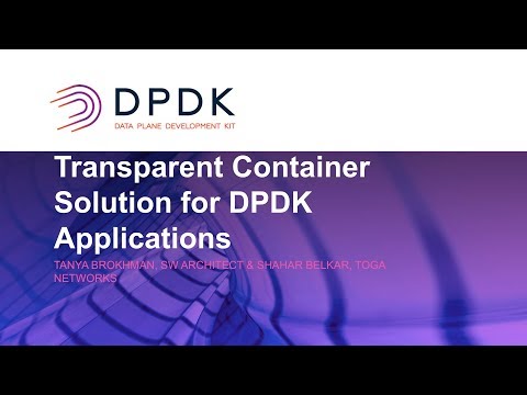 Transparent Container Solution for DPDK Applications
