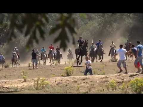 Encierro a Caballo Villasrubias 2014 (Sábado 23 Ag