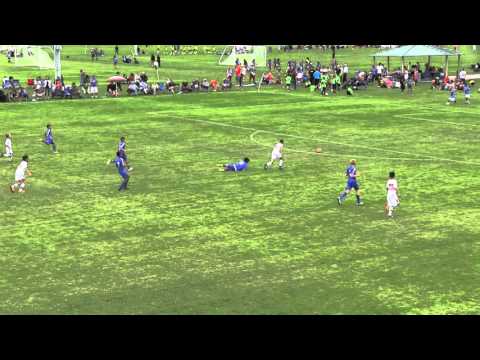 2015 Mayor's Cup: San Jose Earthquakes 03B Pre-academy vs. Heat FC 04 ET: Final: HIghlights