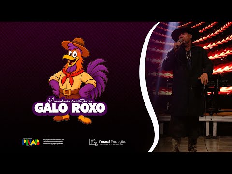 MINIDOCUMENTÁRIO GALO ROXO