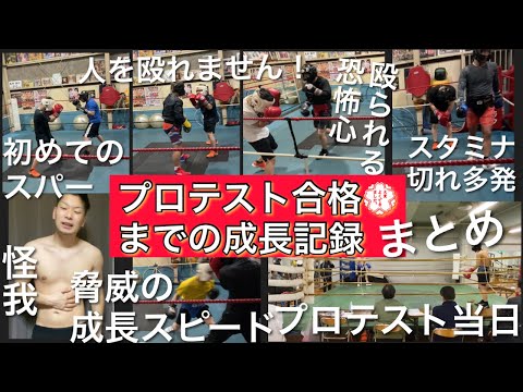【目指せプロボクサー完結】スパーリング始めてプロテスト合格💮するまでの成長記録まとめ！