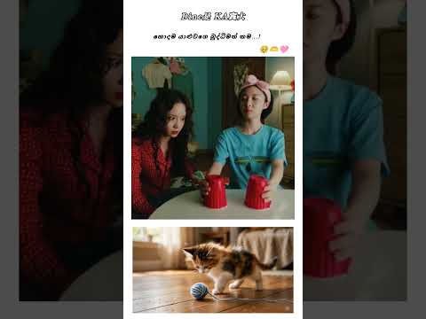 හොදම යාළුවගෙ බුද්ධිමත් කම..🥹🫶🩷            [ #trending #shorts #viral #foryou #cdrama #kdrama  ]