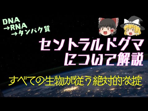 トロピドフィスについて詳しく解説
