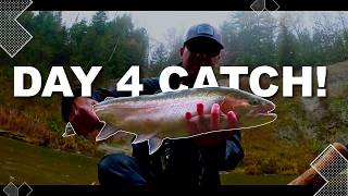 4 Days for THIS Fall Steelhead 🎣