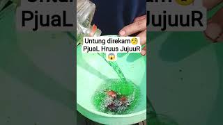 Download lagu Luckily it was recorded🧐PjuaL Hruus JujuuR😱 #fypviral #fypyoutube mp3