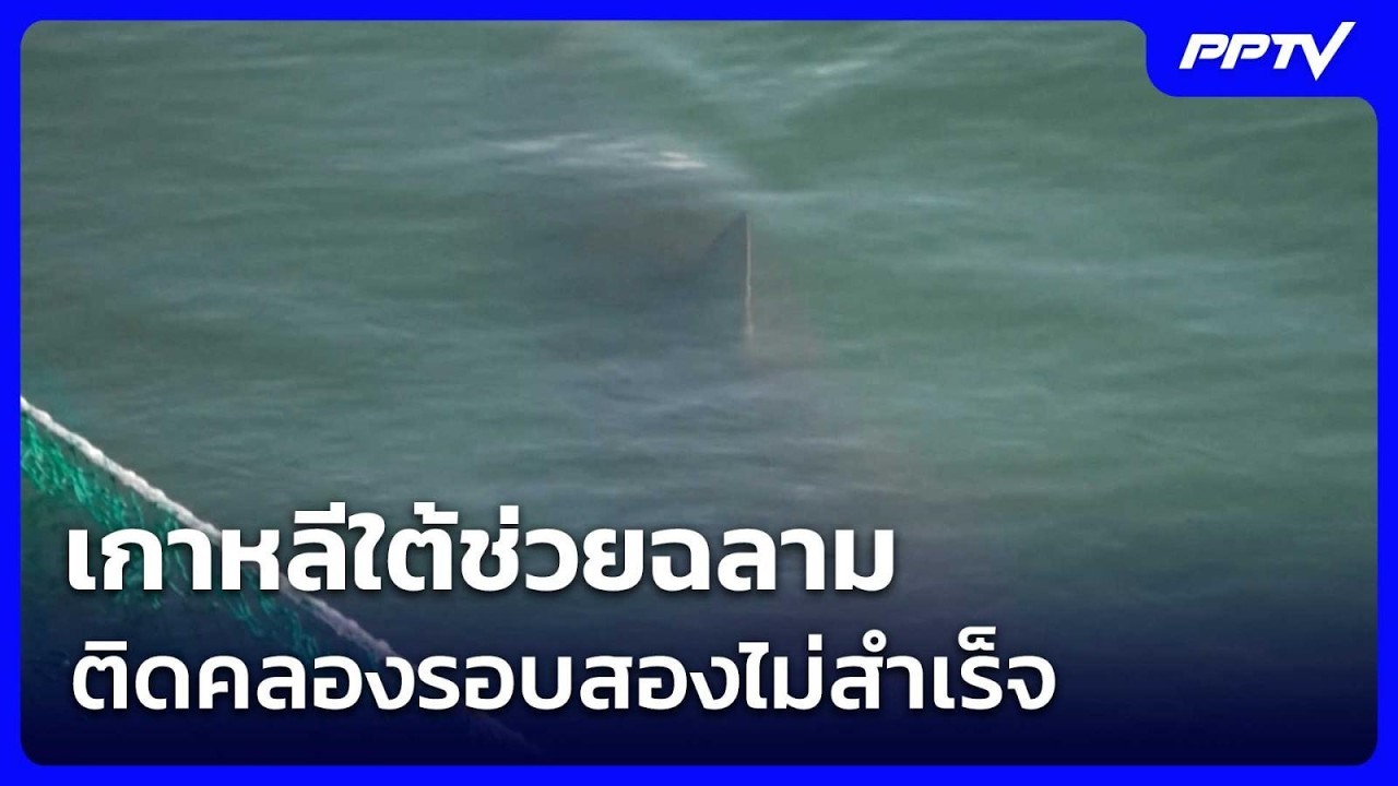เกาหลีใต้ช่วยฉลามติดคลองรอบสองไม่สำเร็จ | เข้มข่?