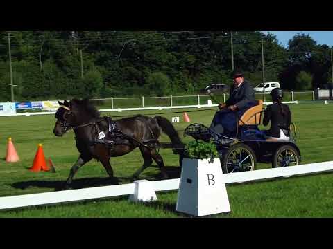 Fahrturnier Dörenthe 12.6.2022