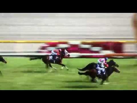 ヴィクトリアマイル2015　ストレイトガール優勝　３連単2,070万円