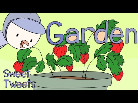 Garden Song – Sweet Tweets