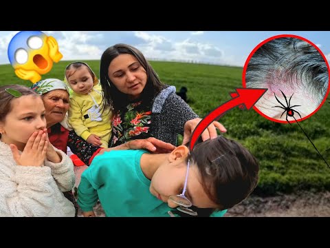 😰M-a mușcat un PAIANJEN PERICULOS🕷️  O zi din viață cu SORA în sat la bunici. Vacanța mare la țară