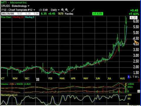 August 20th Daily Stock Report with Stock Picks