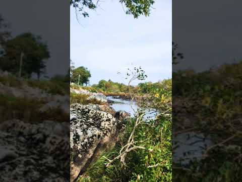 #nature#oldsongs#suraiya#travel